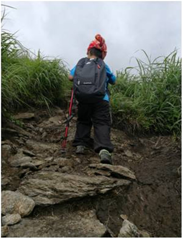 MK体育官方网站图片